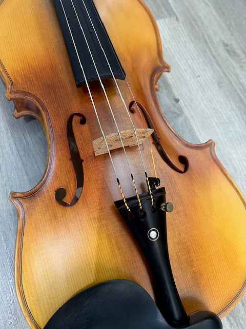 MAESTRO VIOLINO 4/4 COMPLETO