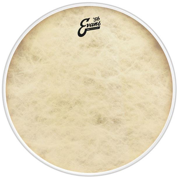 EVANS BD18GB4CT PELLE CALFTONE 18"