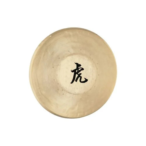 MEINL SONIC ENERGY TG13 GONG 13"